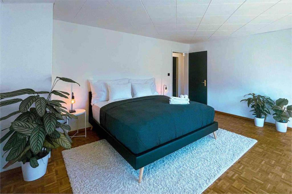 فيلا -The Urbanist- Mountainview Parking Garden 3Bd Unterseen المظهر الخارجي الصورة